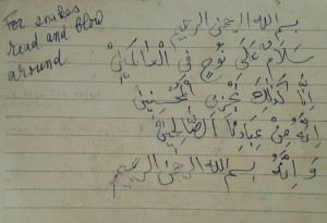 handwritten taweez of Mawlana Shaykh Nazim Adil for snakes and enemies